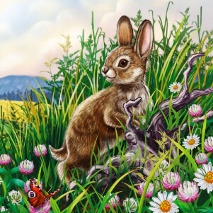 Сказки про зайца